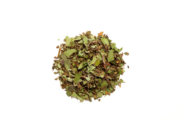 Mint Revival Yaupon Tea for Sale